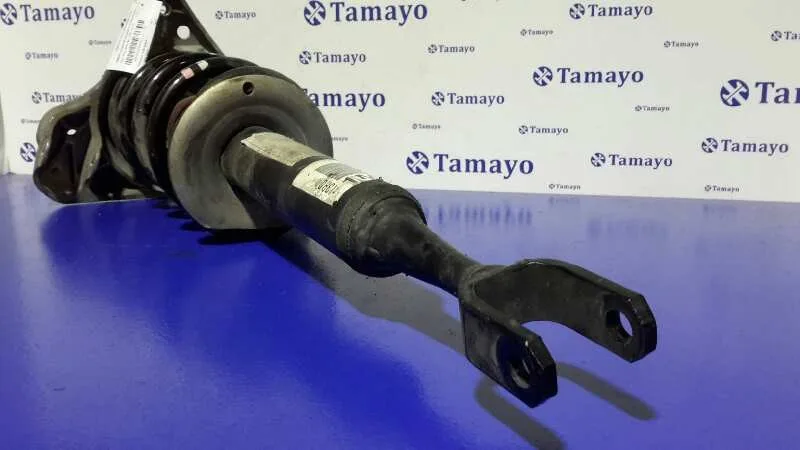 Amortiguador Delantero Derecho para Seat Exeo Berlina (3R2)