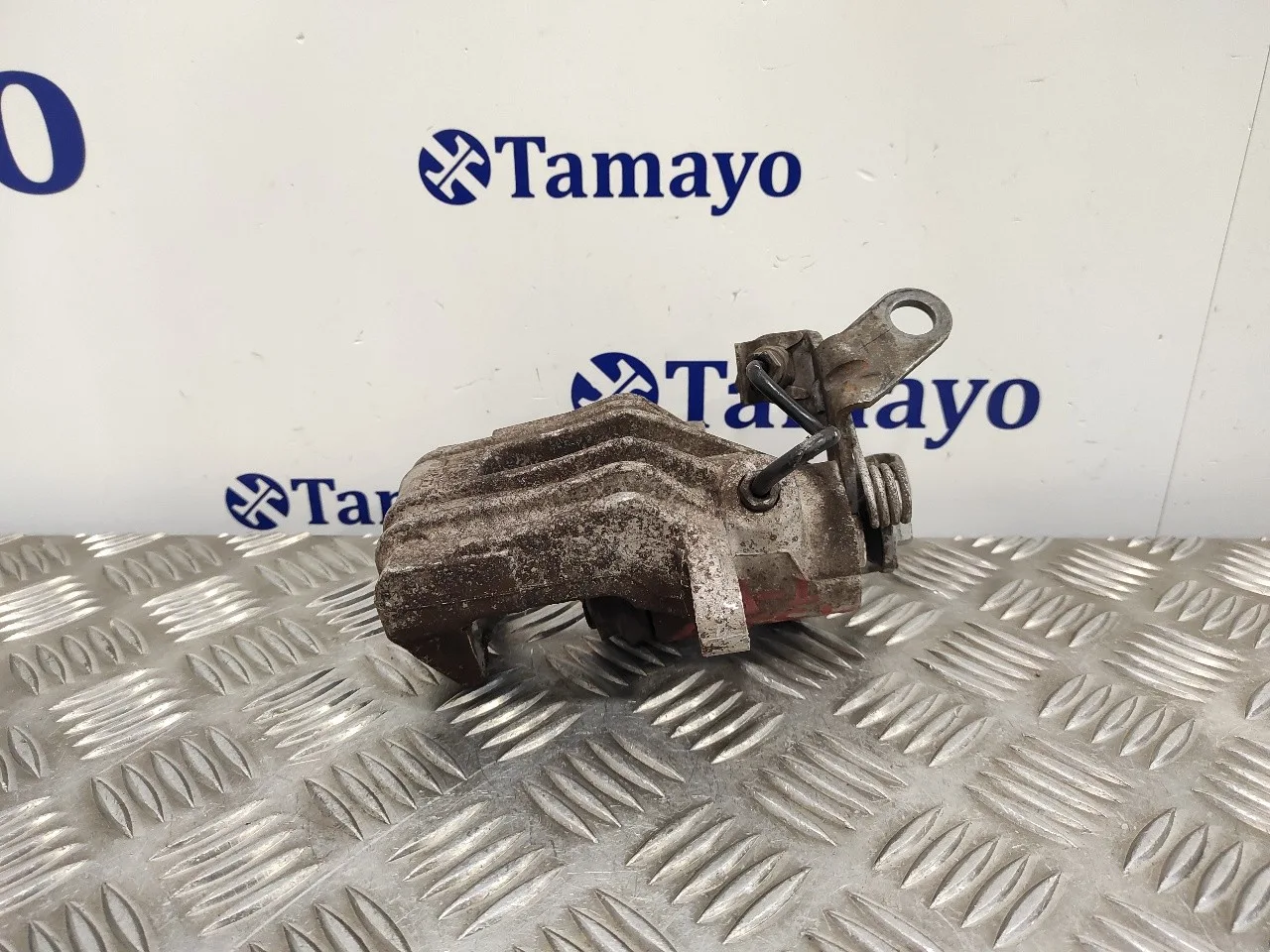 Pinza Freno Trasera Derecha para Seat Leon (1P1)