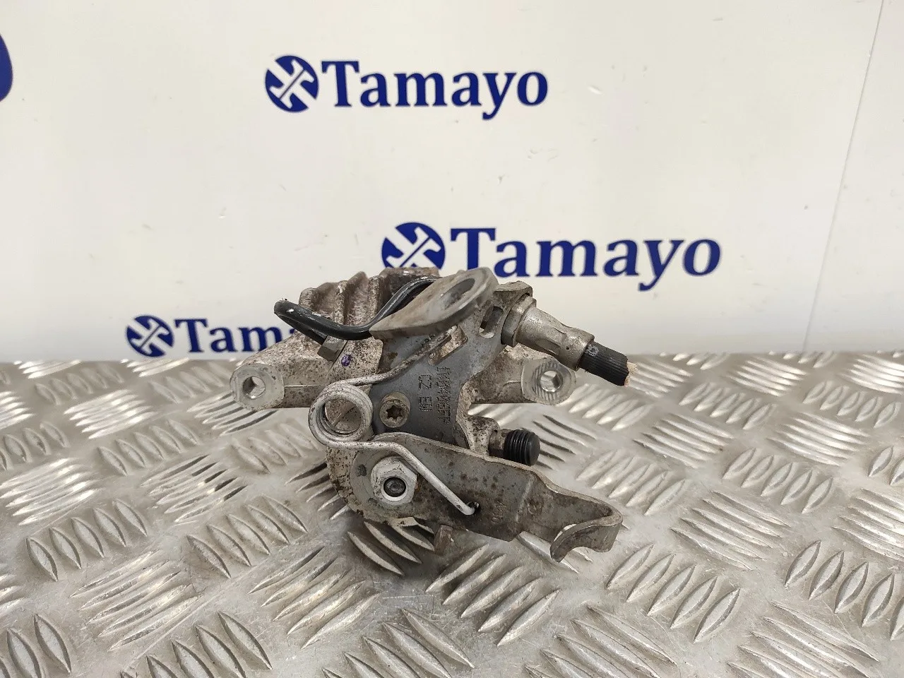 Pinza Freno Trasera Derecha para Seat Leon (1P1)
