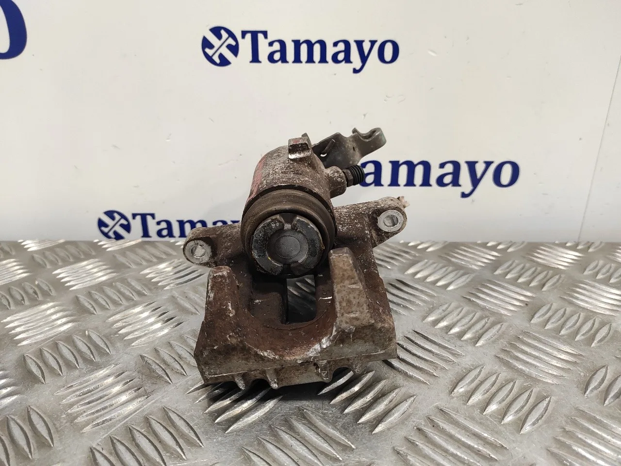 Pinza Freno Trasera Derecha para Seat Leon (1P1)