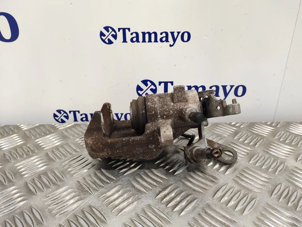 Pinza Freno Trasera Derecha para Seat Leon (1P1)