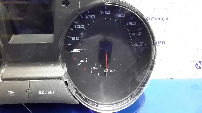 Cuadro Instrumentos para Seat Ibiza (6J5)