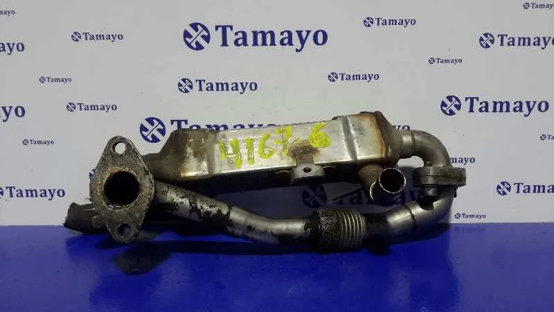 Enfriador Gases para Seat Alhambra (7V9)