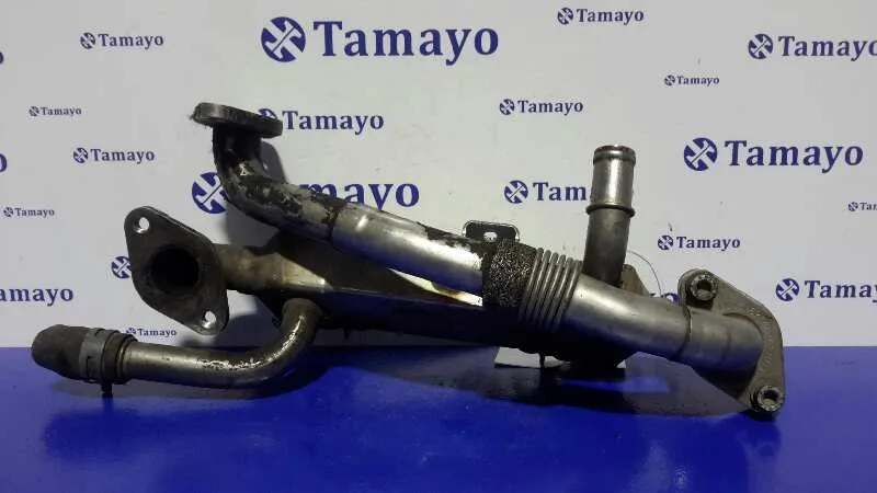 Enfriador Gases para Seat Alhambra (7V9)