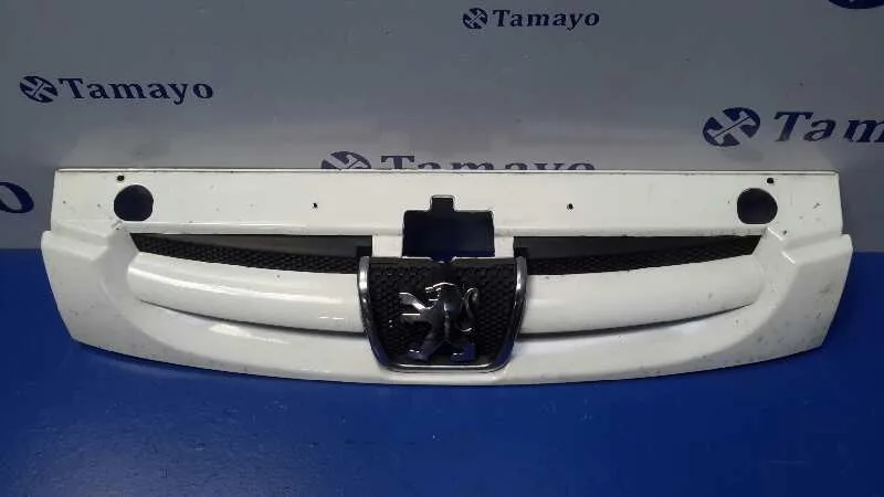 Rejilla Delantera para Peugeot Partner (S2)