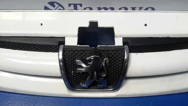 Rejilla Delantera para Peugeot Partner (S2)