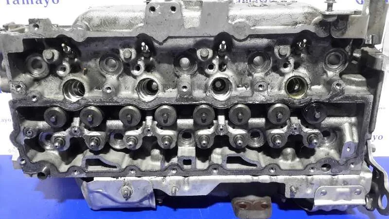 Culata para Peugeot Expert Kasten