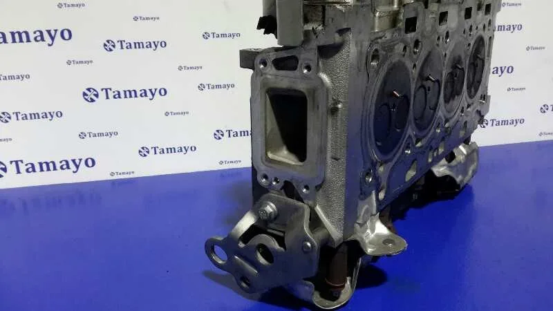 Culata para Peugeot Expert Kasten