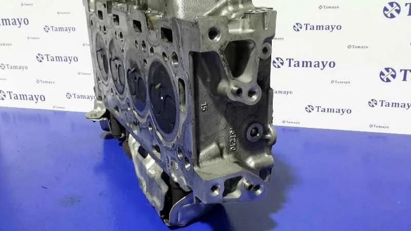 Culata para Peugeot Expert Kasten