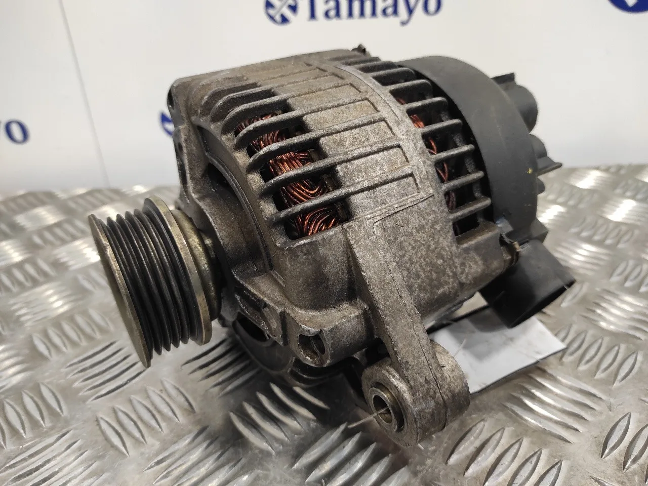Alternador para Fiat Bravo (182)