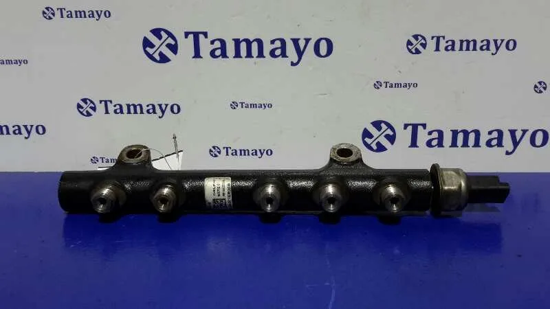 Rampa Inyectora para Citroën C3