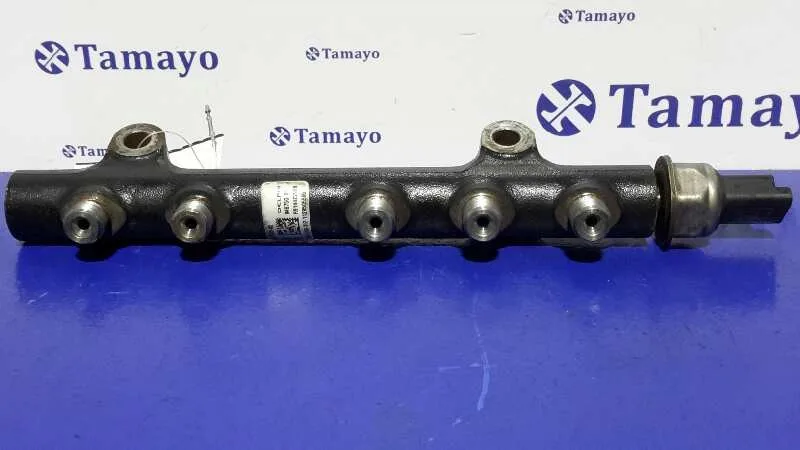 Rampa Inyectora para Citroën C3