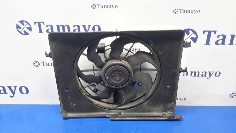 Electroventilador para Hyundai Sonata (Nf)