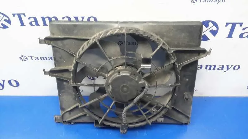 Electroventilador para Hyundai Sonata (Nf)