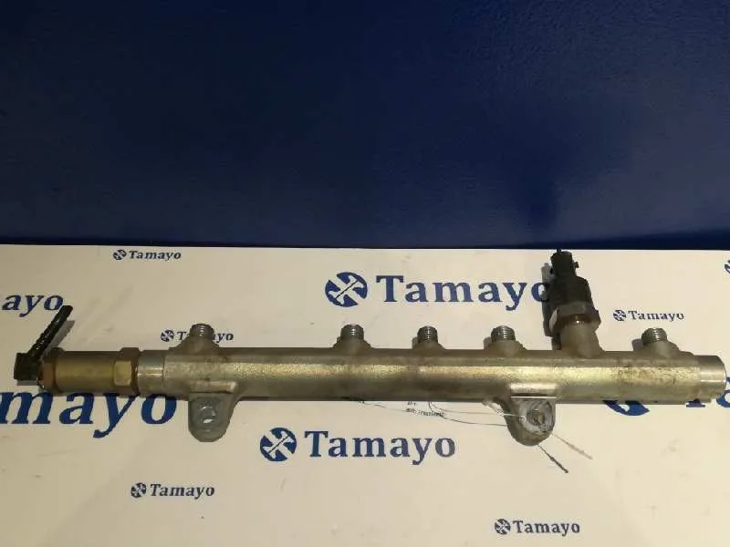 Rampa Inyectora para Renault Laguna Ii (Bg0)