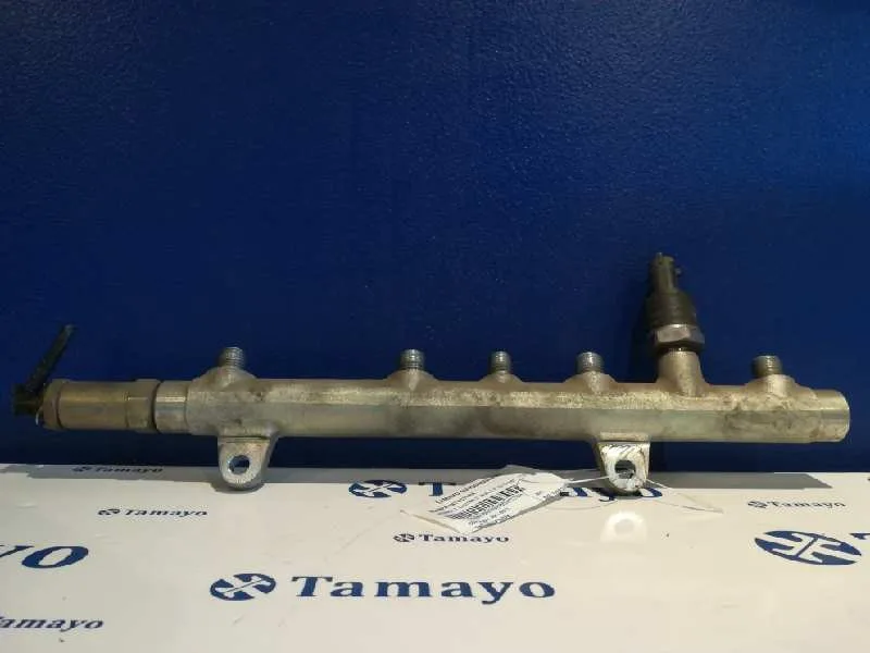 Rampa Inyectora para Renault Laguna Ii (Bg0)