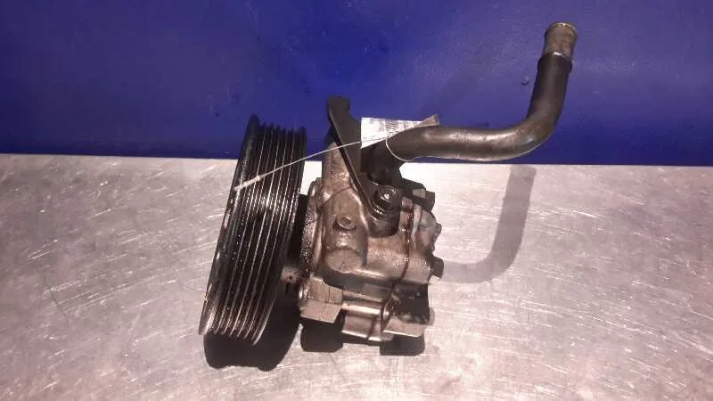 Bomba Servodireccion para Hyundai Trajet (Fo)