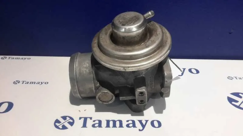 Valvula Egr para Volkswagen Golf Iv Berlina (1J1)