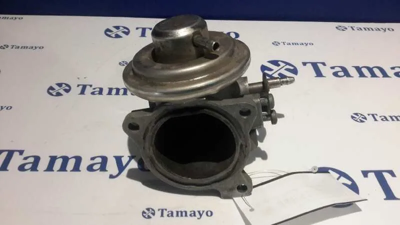 Valvula Egr para Volkswagen Golf Iv Berlina (1J1)
