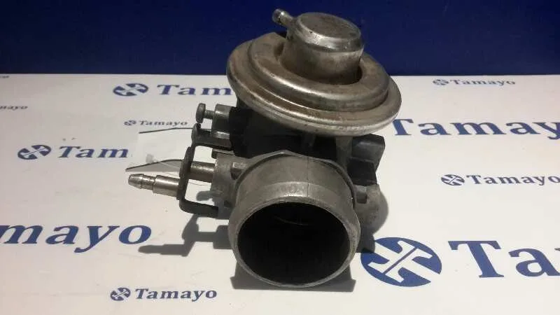 Valvula Egr para Volkswagen Golf Iv Berlina (1J1)