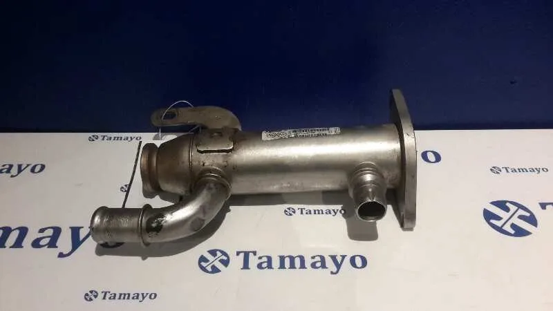 Enfriador Gases para Peugeot 407