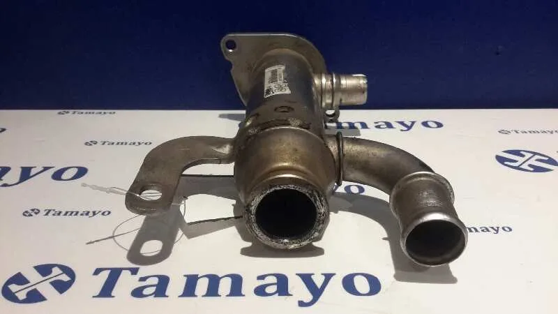 Enfriador Gases para Peugeot 407