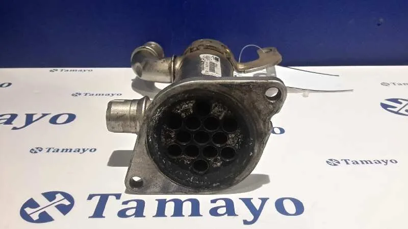Enfriador Gases para Peugeot 407