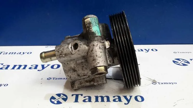 Bomba Servodireccion para Renault Laguna (B56)