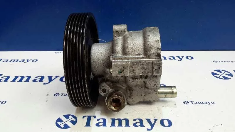 Bomba Servodireccion para Renault Laguna (B56)