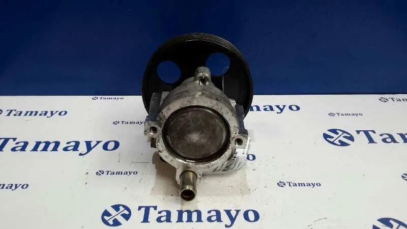 Bomba Servodireccion para Renault Laguna (B56)