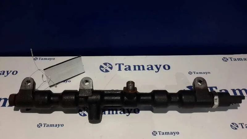 Rampa Inyectora para Ford Mondeo Berlina (Ge)