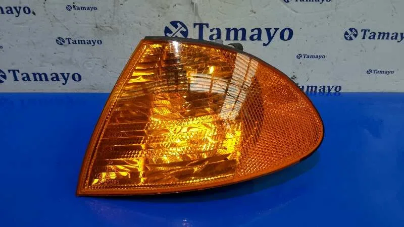 Piloto Delantero Izquierdo para Bmw Serie 3 Berlina (E46)