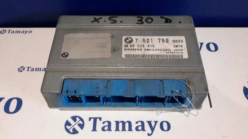 Centralita Cambio Automatico para Bmw X5 (E53)
