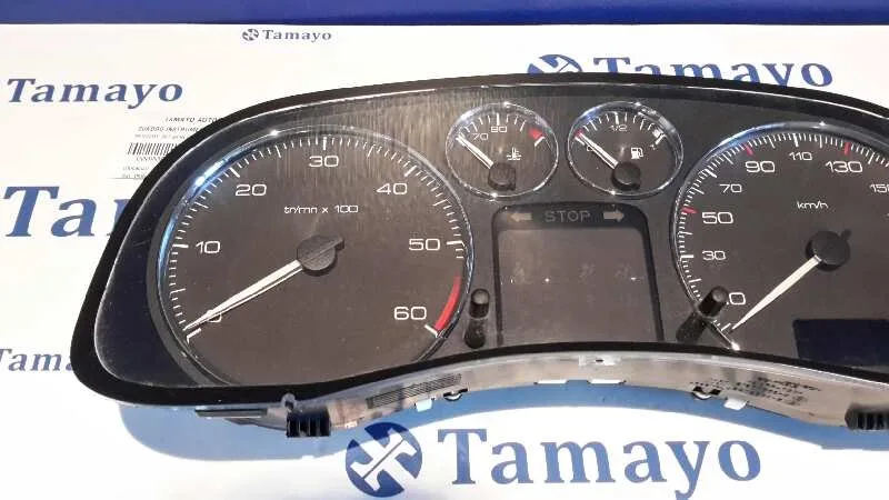 Cuadro Instrumentos para Peugeot 307 Berlina (S2)