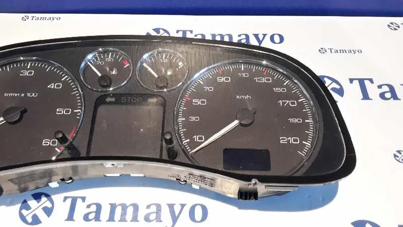 Cuadro Instrumentos para Peugeot 307 Berlina (S2)