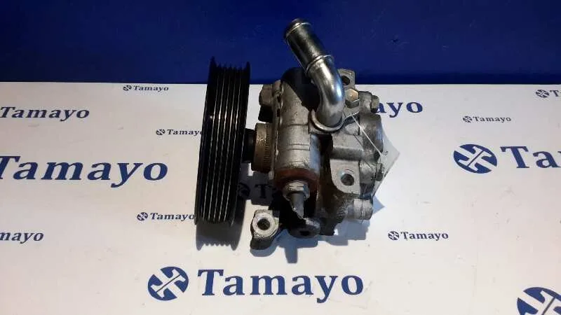 Bomba Servodireccion para Ford Transit Connect (Tc7)