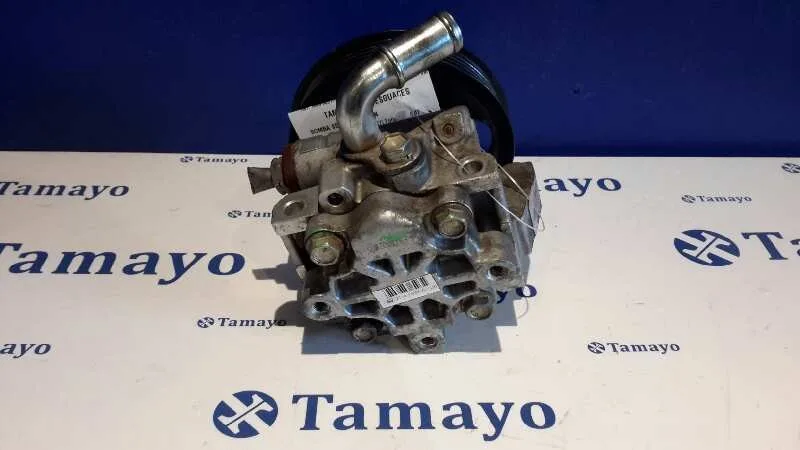 Bomba Servodireccion para Ford Transit Connect (Tc7)