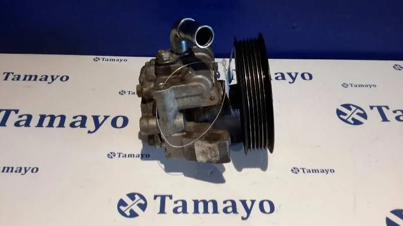 Bomba Servodireccion para Ford Transit Connect (Tc7)