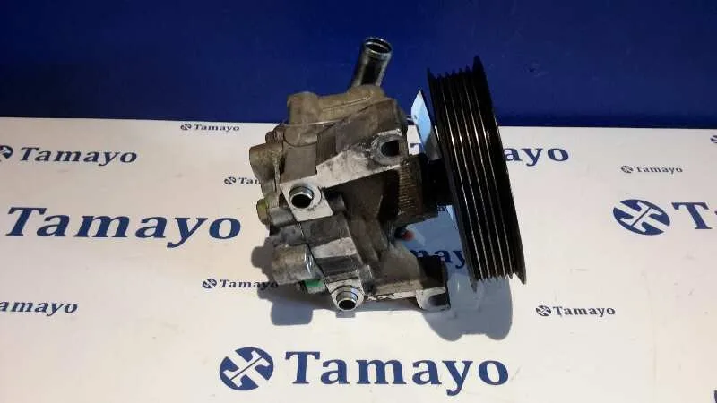 Bomba Servodireccion para Ford Transit Connect (Tc7)