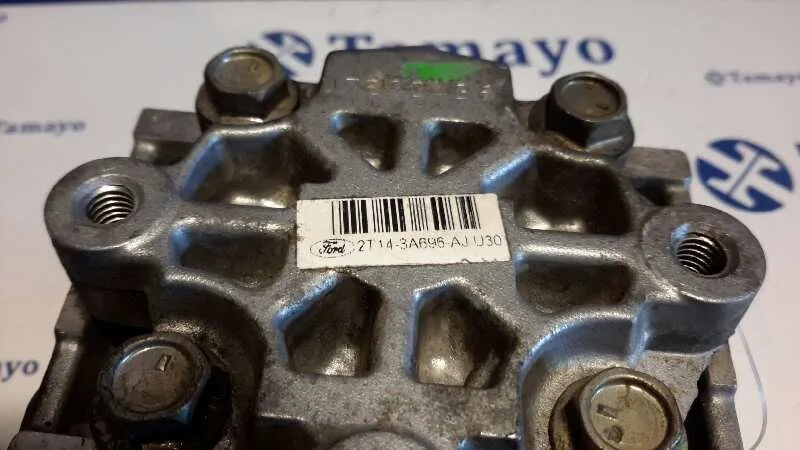 Bomba Servodireccion para Ford Transit Connect (Tc7)