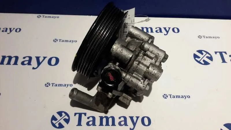 Bomba Servodireccion para Hyundai Tucson (Jm)