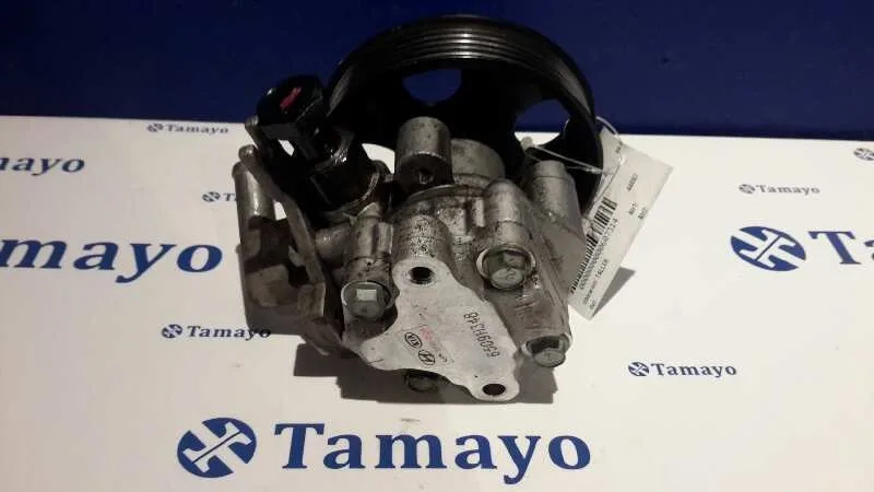 Bomba Servodireccion para Hyundai Tucson (Jm)