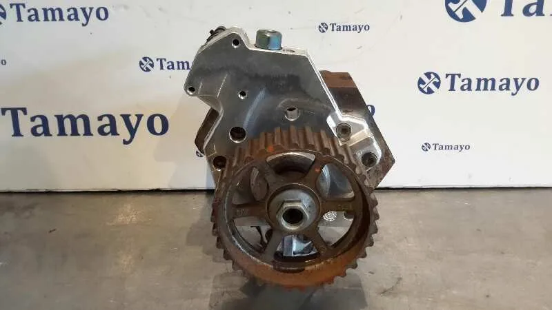 Bomba Inyeccion para Renault Laguna Ii (Bg0)