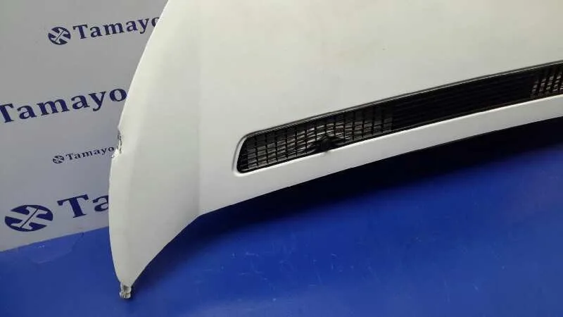 Capot para Peugeot Expert Kasten