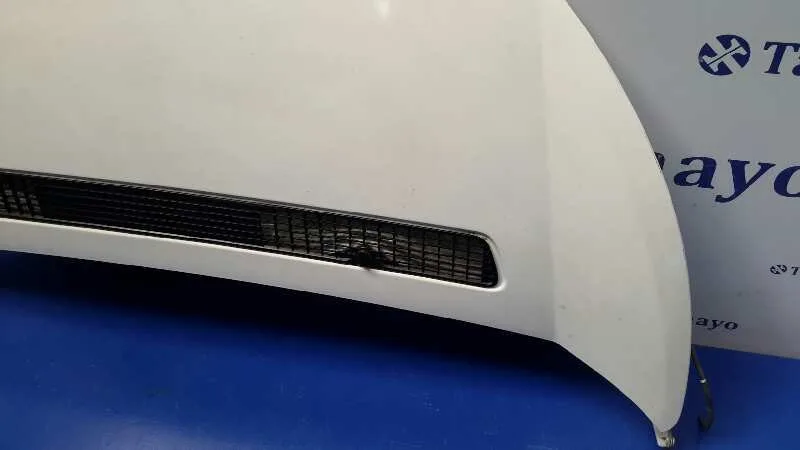 Capot para Peugeot Expert Kasten