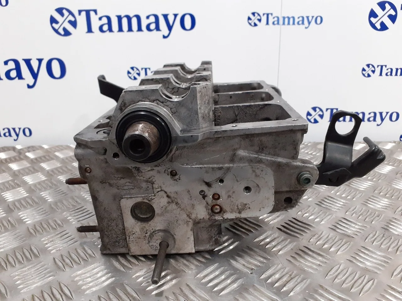 Culata para Seat Ibiza (6L1)