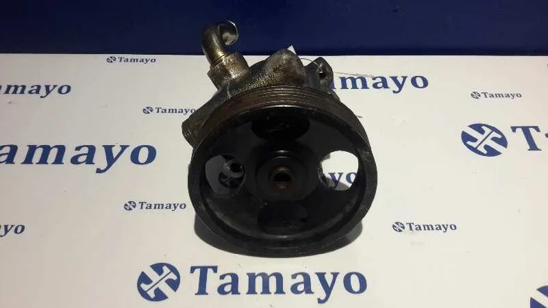 Bomba Direccion para Peugeot Partner (S1)