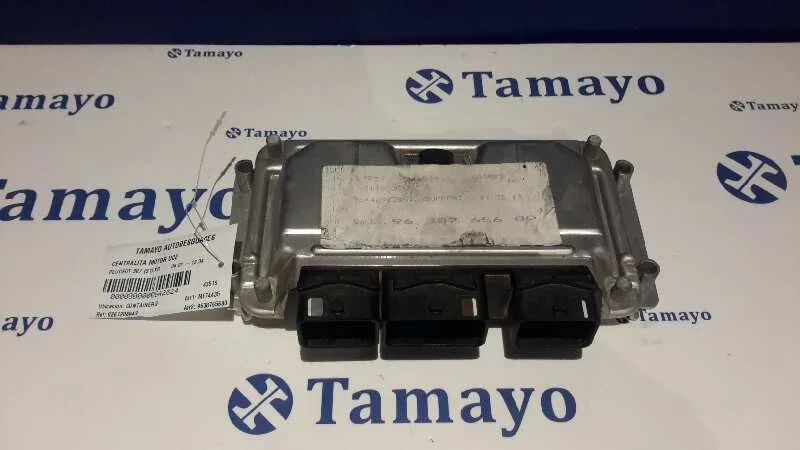 Centralita Motor Uce para Peugeot 307 (S1)