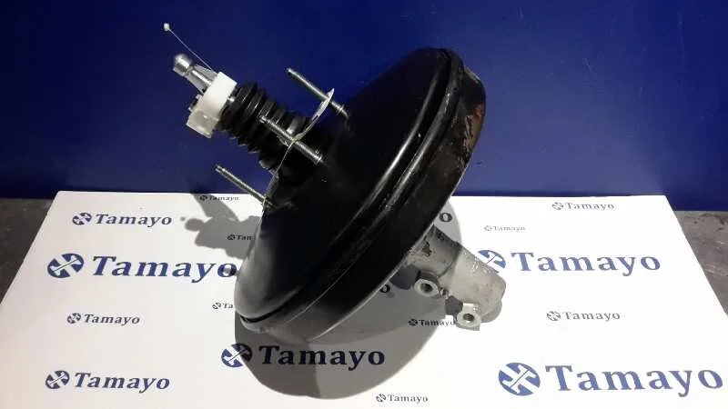 Servofreno para Fiat Ducato Caja Cerrada 33, Techo Elevado (06.2006)