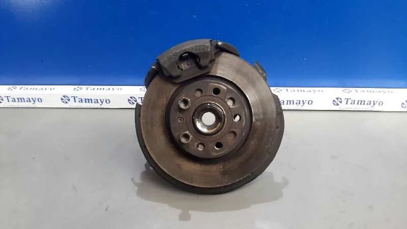 Mangueta Delantera Derecha para Volkswagen Golf V Berlina (1K1)